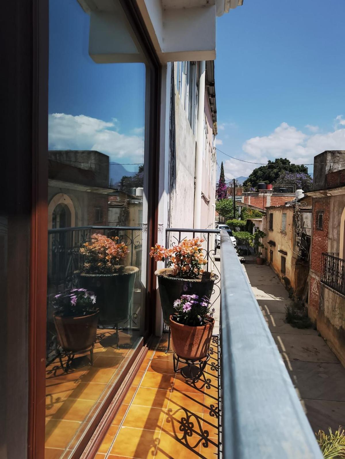 Boca Del Monte By Diablo Y La Sandia B&B Oaxaca Εξωτερικό φωτογραφία