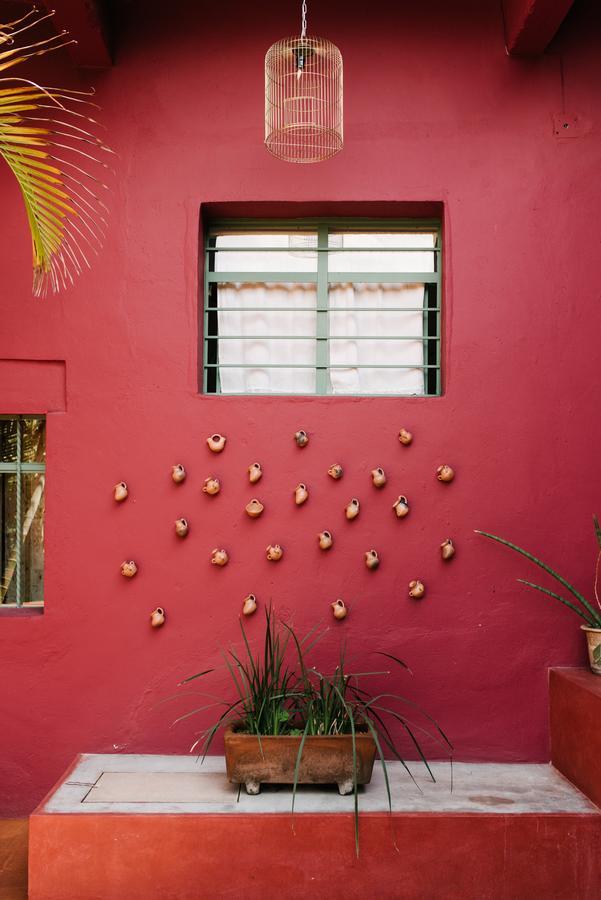 Boca Del Monte By Diablo Y La Sandia B&B Oaxaca Εξωτερικό φωτογραφία