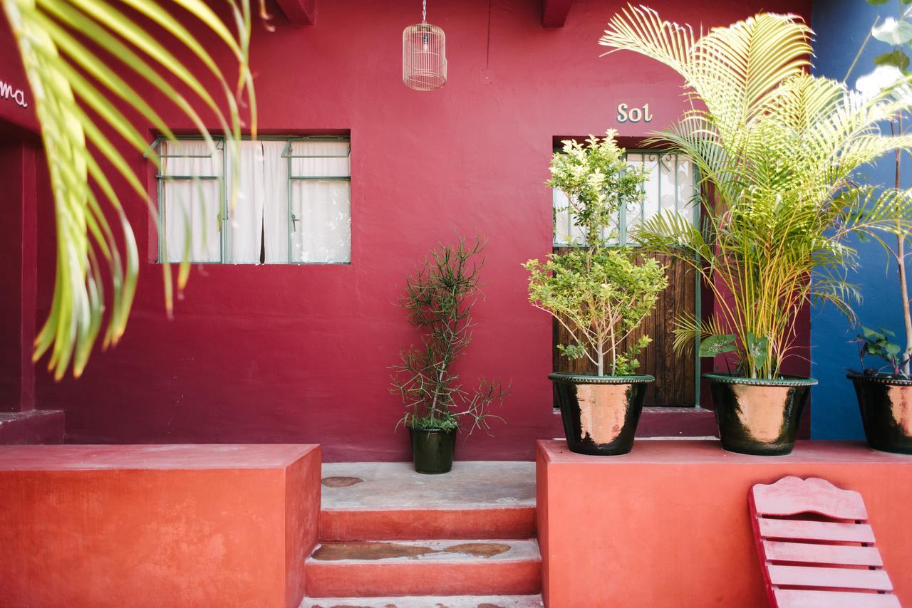 Boca Del Monte By Diablo Y La Sandia B&B Oaxaca Εξωτερικό φωτογραφία