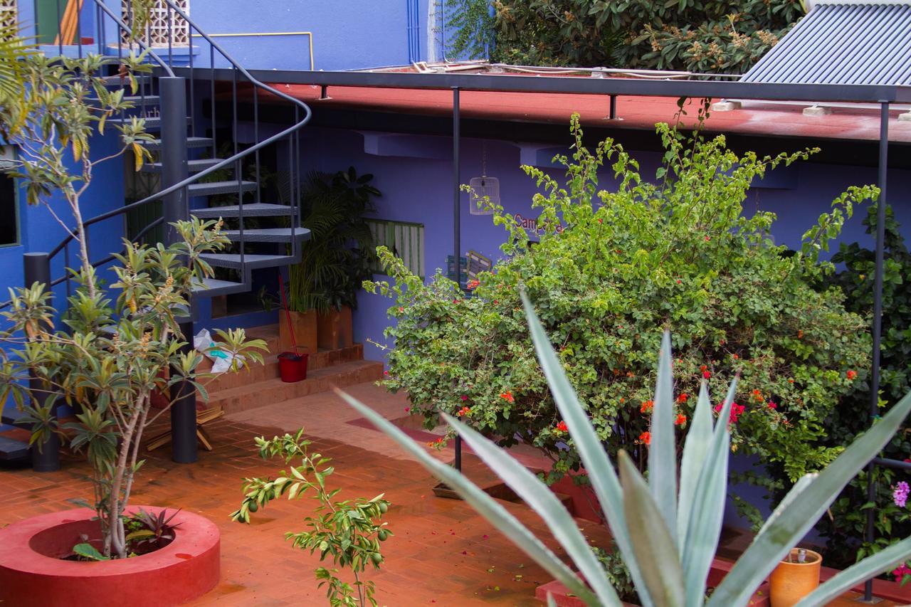 Boca Del Monte By Diablo Y La Sandia B&B Oaxaca Εξωτερικό φωτογραφία