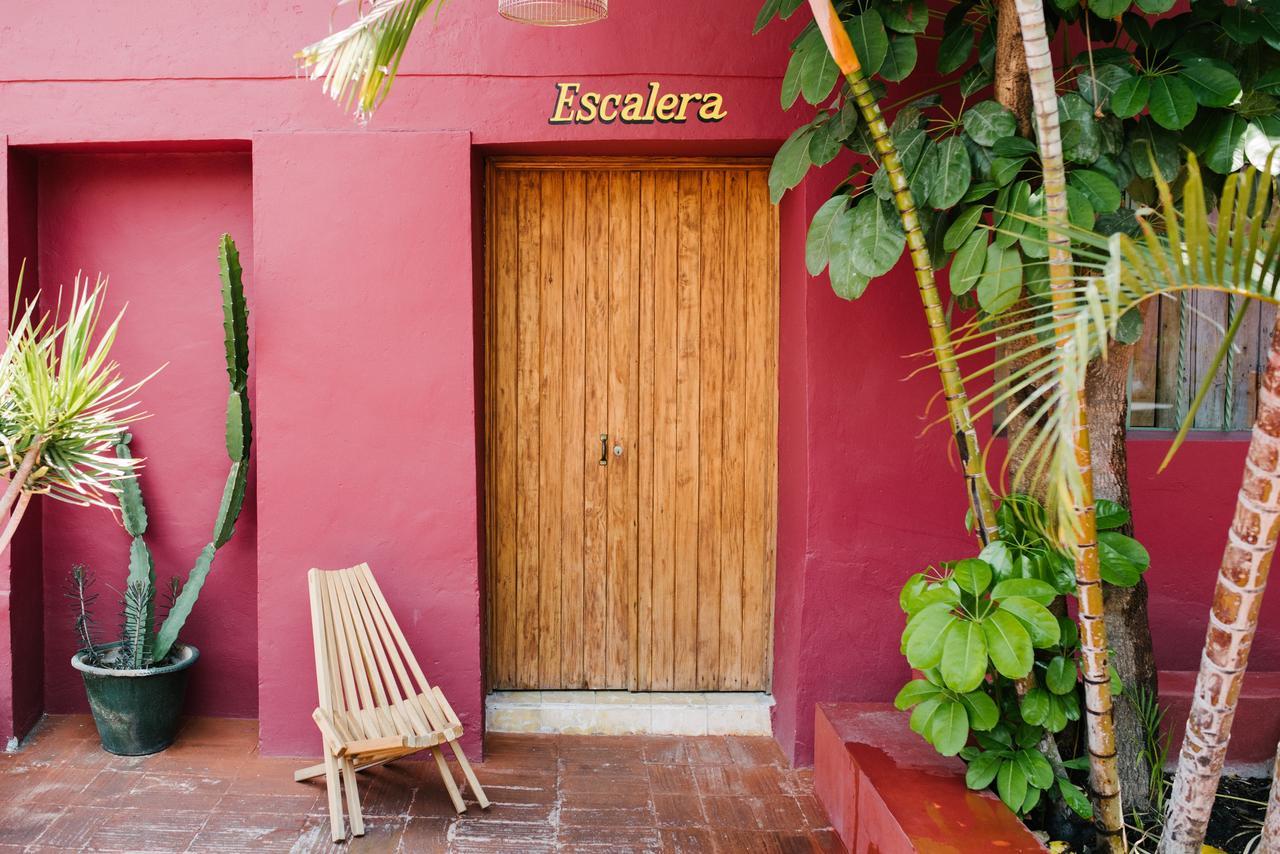 Boca Del Monte By Diablo Y La Sandia B&B Oaxaca Εξωτερικό φωτογραφία
